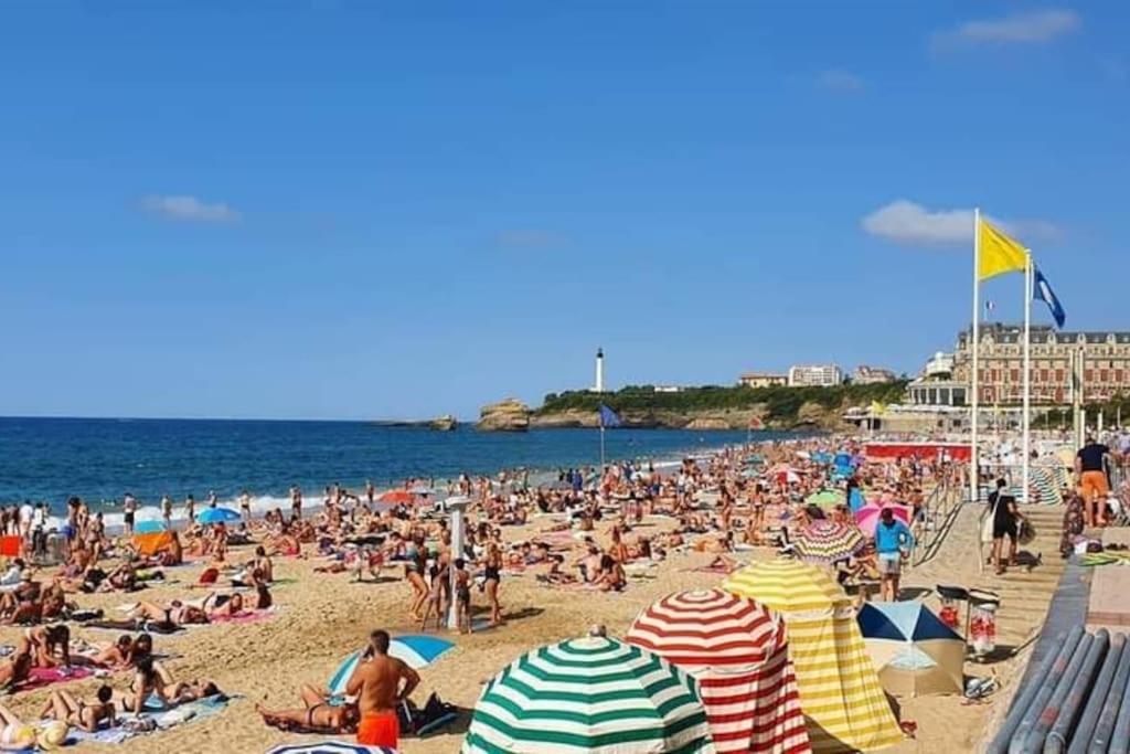 Magnifique T3 - Grande Plage Μπιαρίτζ Εξωτερικό φωτογραφία